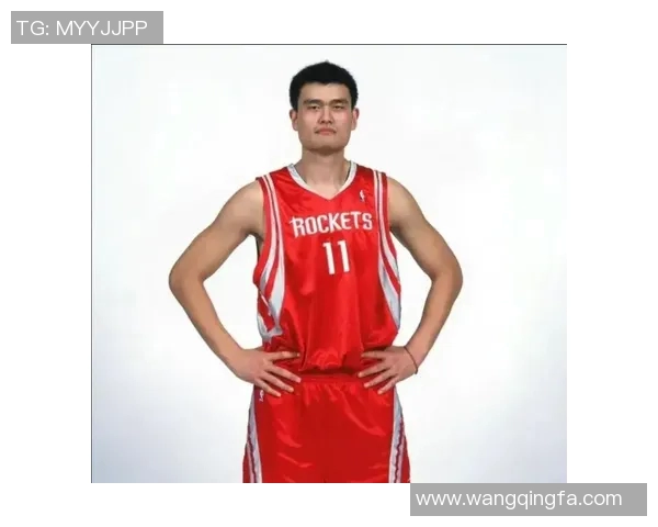 猫脸姚明的奇幻冒险之旅揭秘萌宠与篮球的完美结合