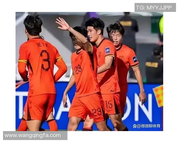 04亚洲杯中国队对决强敌全力以赴争夺荣誉与梦想的激烈战斗